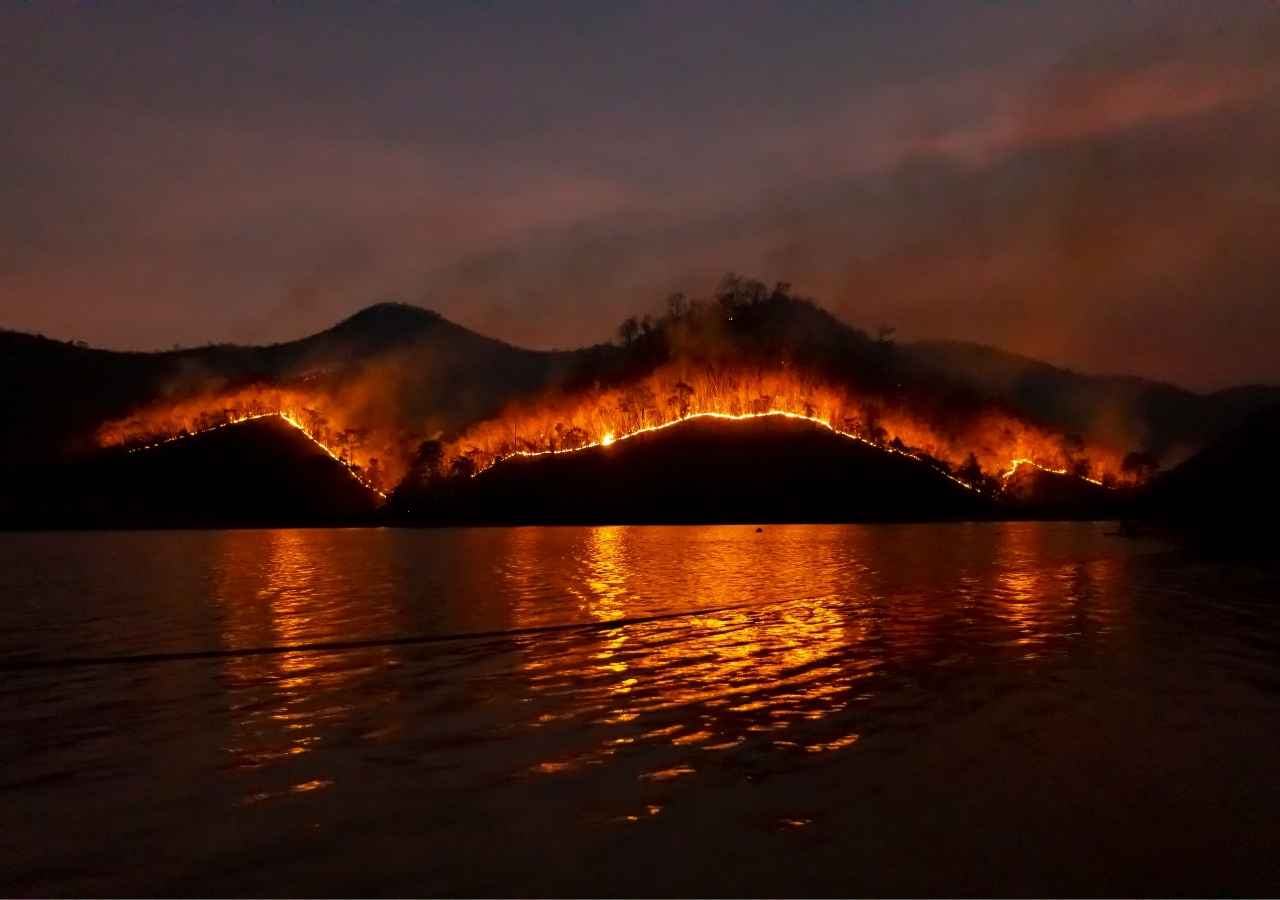 Origins and Causes of Wildfires